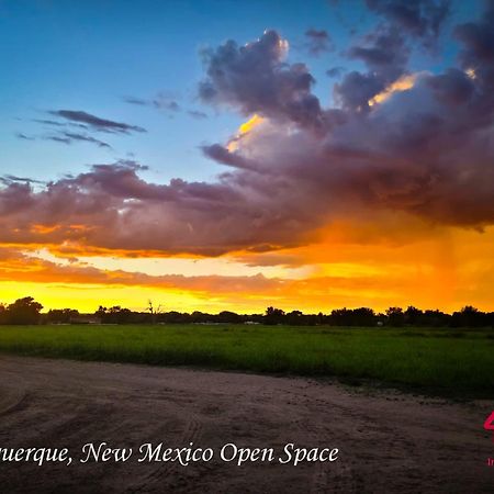 Chapala Charm 6Br Family Oasis - An Irvie Home Albuquerque Exterior photo