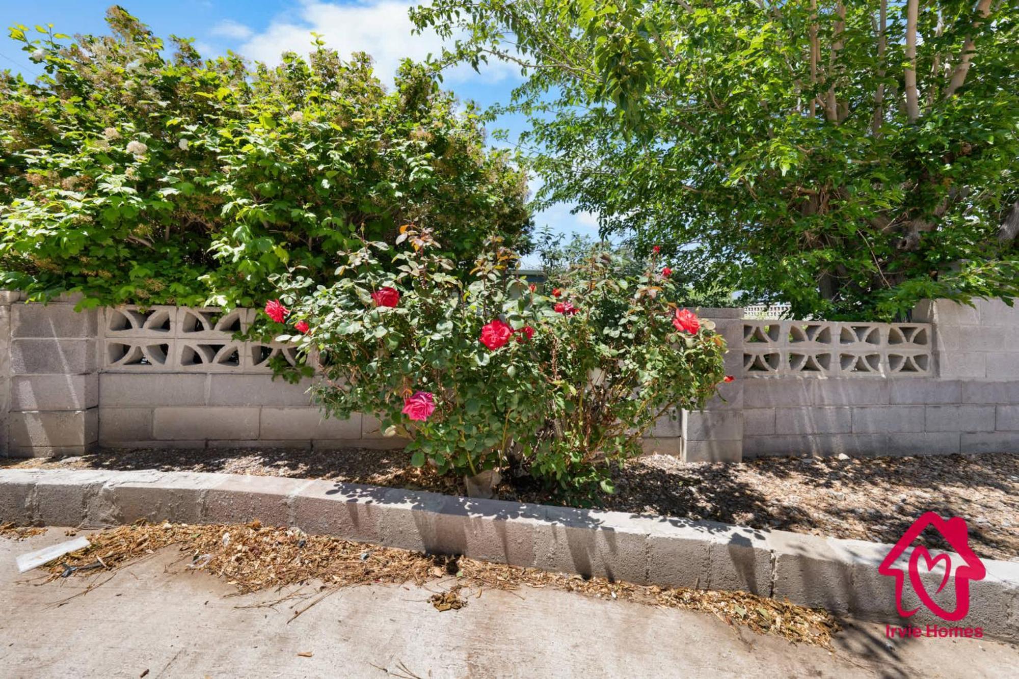 Chapala Charm 6Br Family Oasis - An Irvie Home Albuquerque Exterior photo